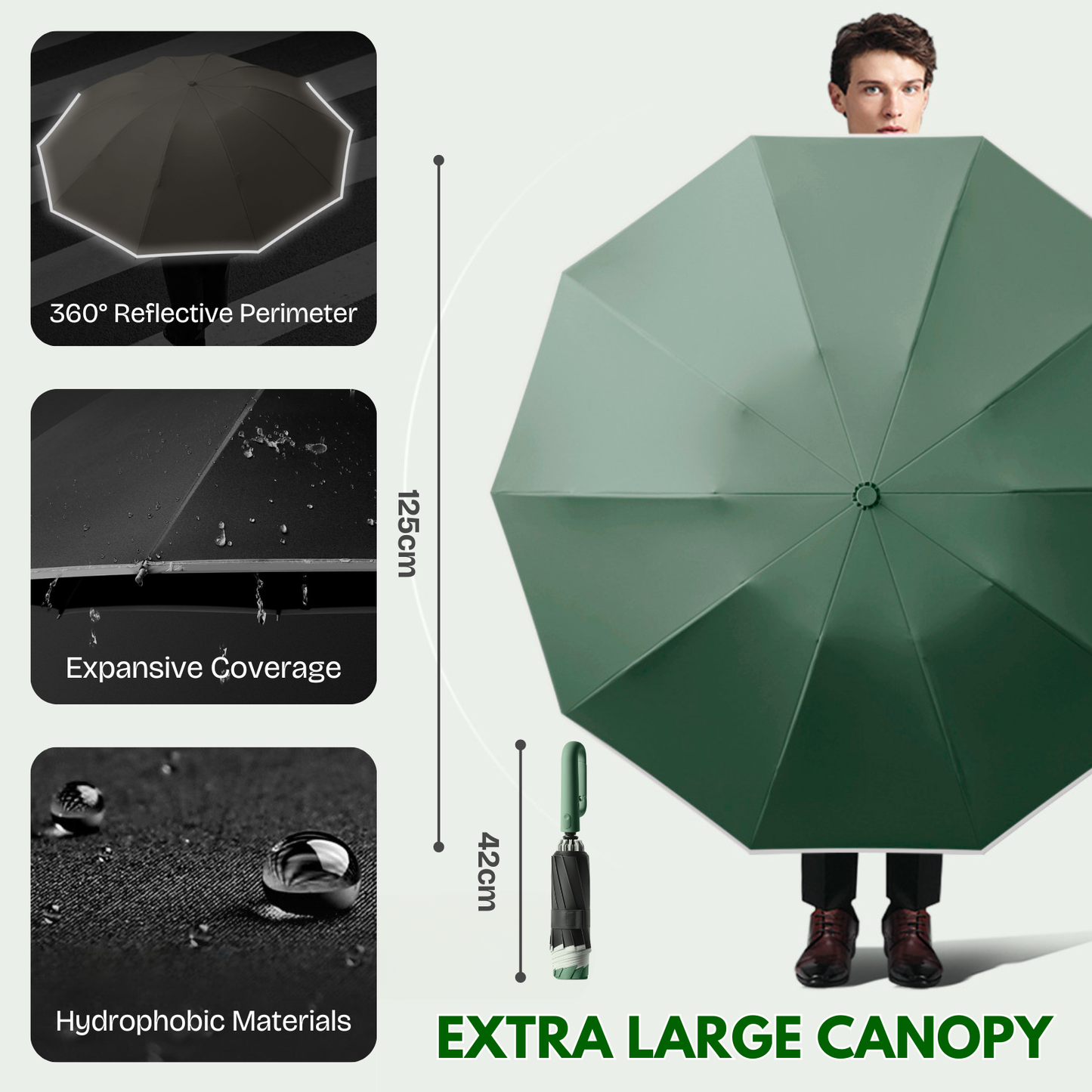 Modern Auto-Opening Umbrella 10-Rib Frame Hook Handle
