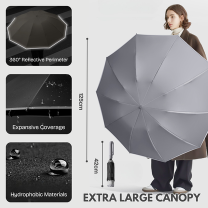 Modern Auto-Opening Umbrella 10-Rib Frame Hook Handle