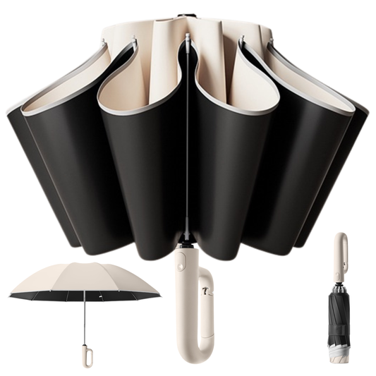 Modern Auto-Opening Umbrella 10-Rib Frame Hook Handle